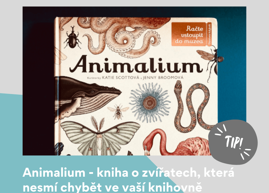 Animalium – kniha o zvířatech, která nesmí chybět ve vaší knihovně
