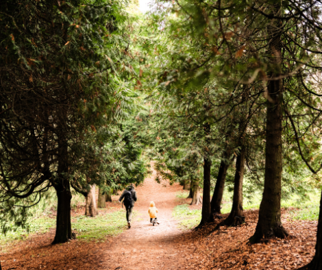 Pochybnosti v domácím vzdělávání první pomoc najdete skrze nadhled a klid na společné rodinné cestě.